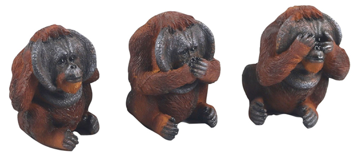 No Evil Orangutans - Hear, See And Speak